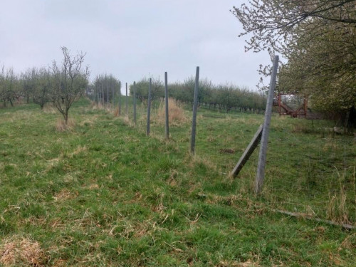 Prodej pozemků v Polomi