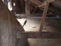 Prodej nebytového prostoru v Prostějově