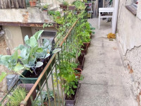 Prodej nebytového prostoru v Prostějově