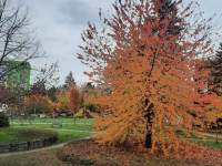 Prodej bytu 2+1 v Mohelnici