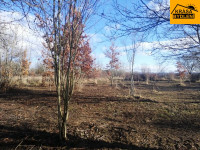 Prodej pozemku v Olomouci, Řepčíně