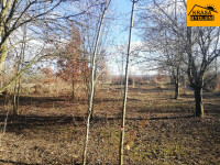 Prodej pozemku v Olomouci, Řepčíně