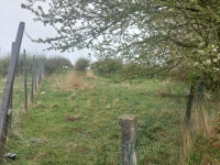 Prodej pozemků v Polomi