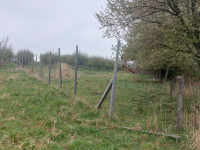 Prodej pozemků v Polomi