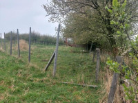 Prodej pozemků v Polomi