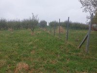 Prodej pozemků v Polomi