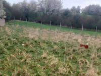 Prodej pozemku v Polomi