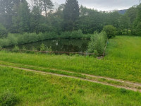 Prodej apartmánů s rybníkem v Písařově, Bukovice