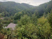Prodej chaty 2+1 v Hlubočkách, Hrubá Voda