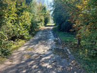 Prodej pozemku v Olomouci, Nemilany