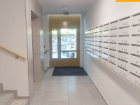 Pronájem bytu 1+kk - novostavby se zahrádkou v Olomouci, Neředín