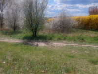 Pronájem zahrady v Olomouci, Povel