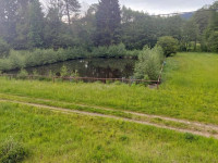 Pronájen penzionu s rybníkem v Písařově, Bukovice