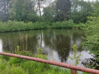 Pronájen penzionu s rybníkem v Písařově, Bukovice