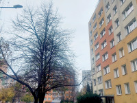 Prodej bytu 1+1 v Olomouci, Nové Sady