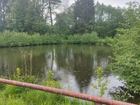 Prodej penzionu s rybníkem v Písařově, Bukovice